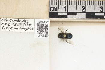 Media type: image;   Entomology 790497 Aspect: Labels